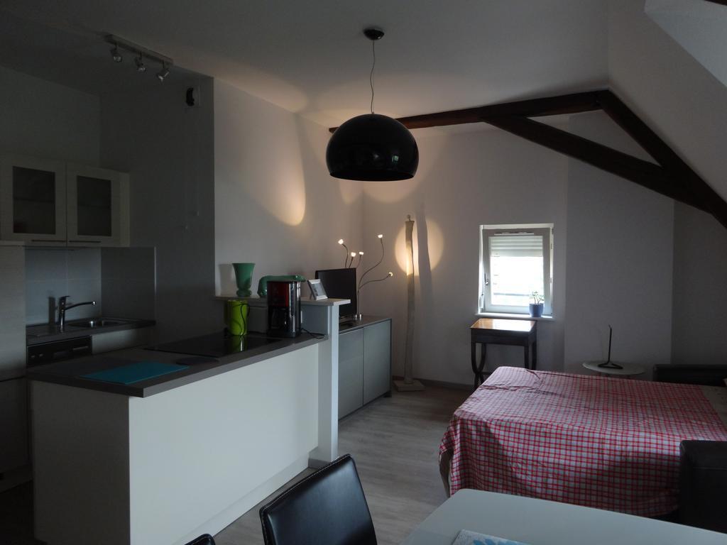 A L'Ill - Apparts & Studios Strasbourg Hyper Centre Εξωτερικό φωτογραφία