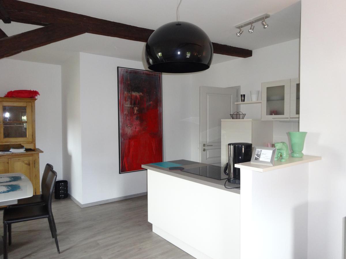 A L'Ill - Apparts & Studios Strasbourg Hyper Centre Εξωτερικό φωτογραφία