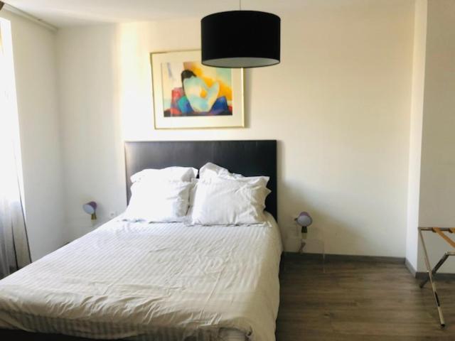 A L'Ill - Apparts & Studios Strasbourg Hyper Centre Εξωτερικό φωτογραφία